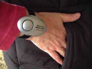 Image of Personal Alarm 001